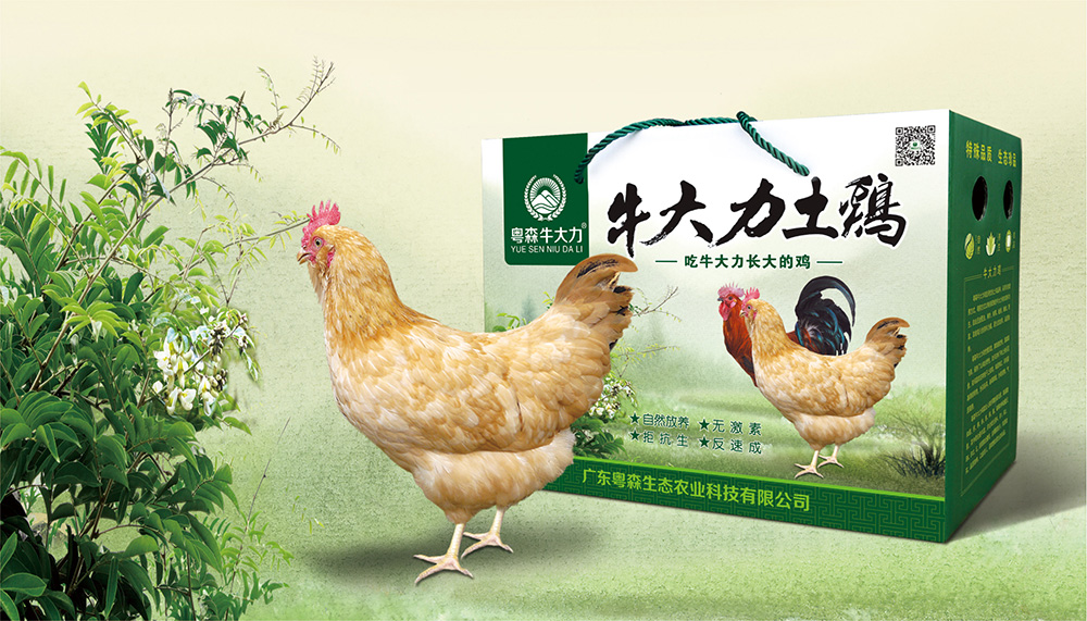 17c.com牛大力土雞