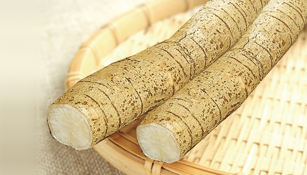 17c.com牛大力鮮（xiān）薯