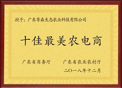 十佳最美農電（diàn）商（shāng）