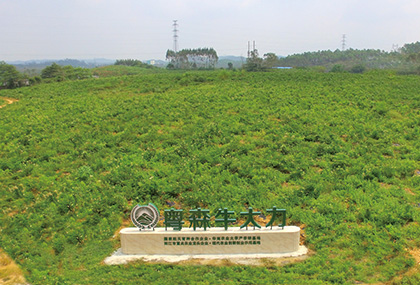 示範種植（zhí）基地