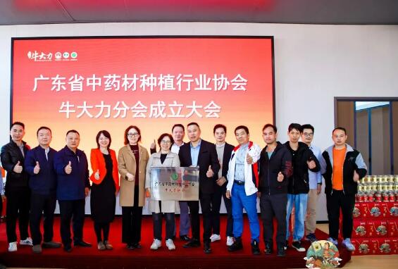 廣東省中藥材種植行業協會牛（niú）大力分會成立